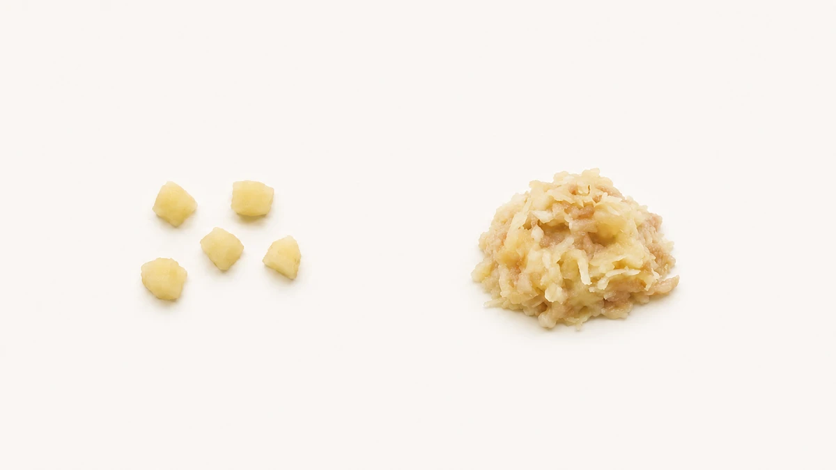 Apple for babies (9 months old): Soft-cooked pieces or finely grated raw