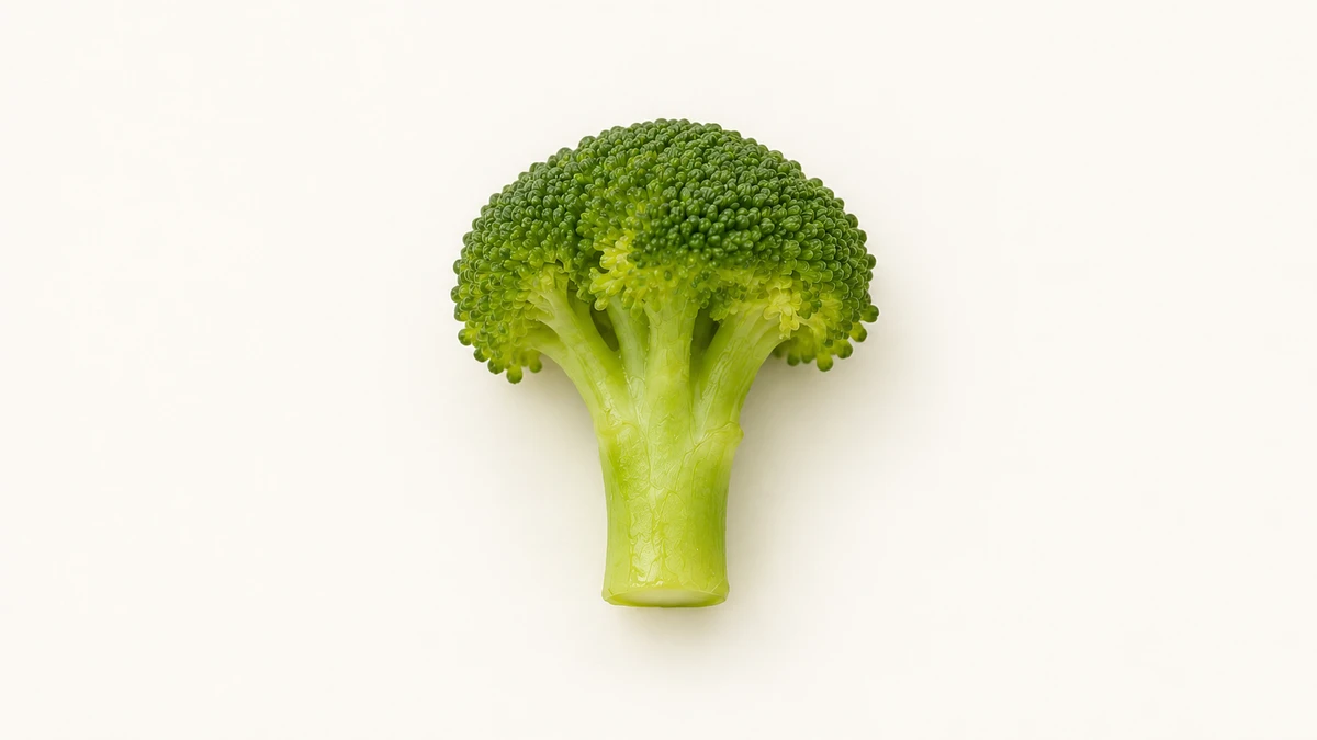 Broccoli for babies (6 months old): Large soft floret or puree